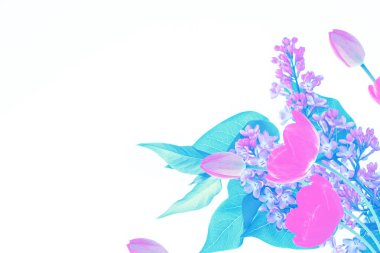 Bahar çiçek leylak, Lale