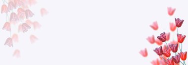 bahar çiçekleri laleler 