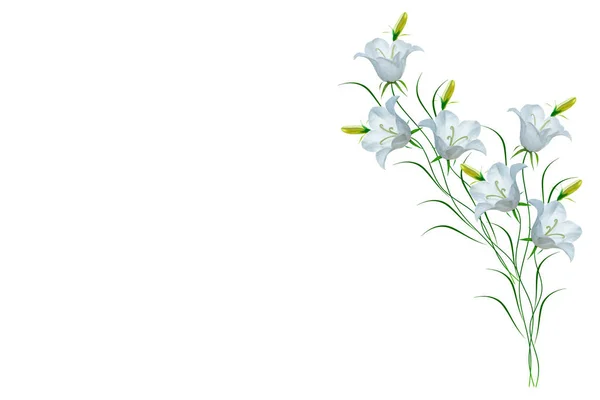 Ljusa färgglada klock blomma — Stockfoto