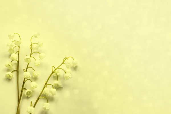 Naturlig blommig bakgrund av vår blommor Liljekonvalj — Stockfoto