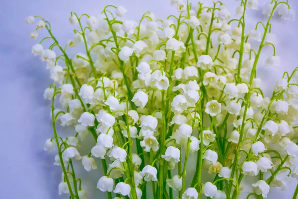 Naturalne kwiatowe tło wiosennych kwiatów konwalia — Zdjęcie stockowe