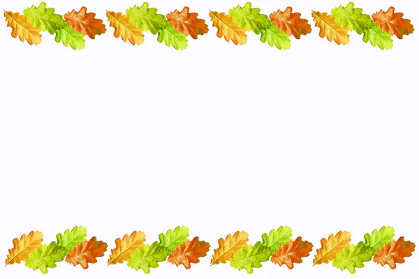 Autumn leaves isolated on white background. — Stock Photo, Image