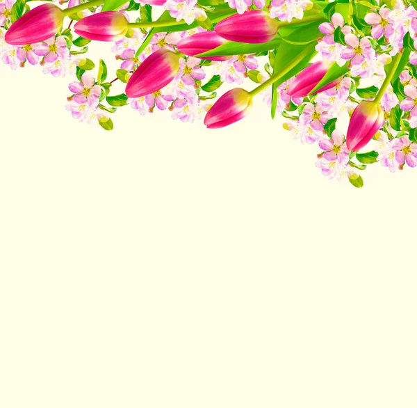 Flores de primavera de colores brillantes — Foto de Stock