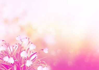 Bahar manzara. çiçekler kardelen