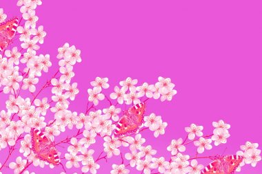  Çiçekli kiraz. Bahar çiçekli Bahçe.