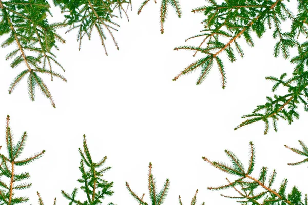 Bosque de invierno congelado con árboles cubiertos de nieve. — Foto de Stock