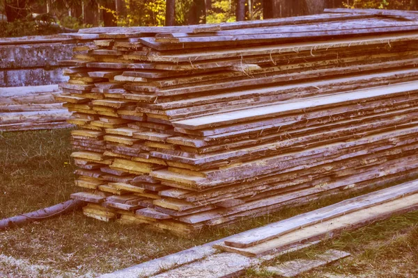 Zpracované dřevo na pozadí podzimní krajiny. — Stock fotografie
