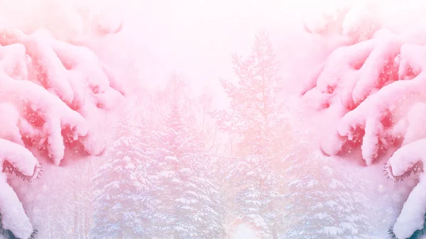 Gefrorener Winterwald mit schneebedeckten Bäumen. — Stockfoto
