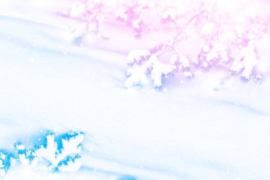  Karla kaplı ağaçlarla donuk kış ormanı.