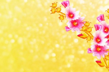 Parlak çiçek ebegümeci 