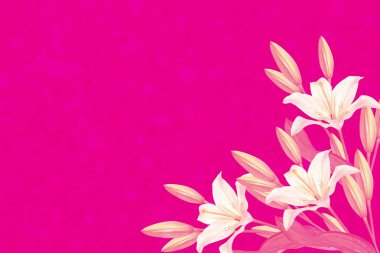 Parlak renkli lily çiçekler. Çiçek arka plan.