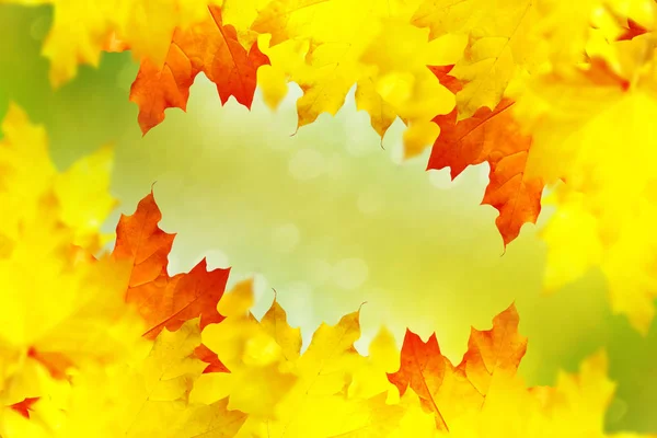 Podzimní krajina s jasně barevnými listy. Babí léto. — Stock fotografie