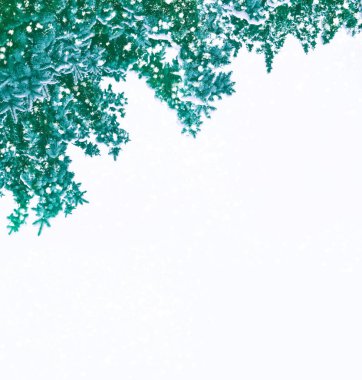 Kar kaplı ağaç Noel ağacı dalları 