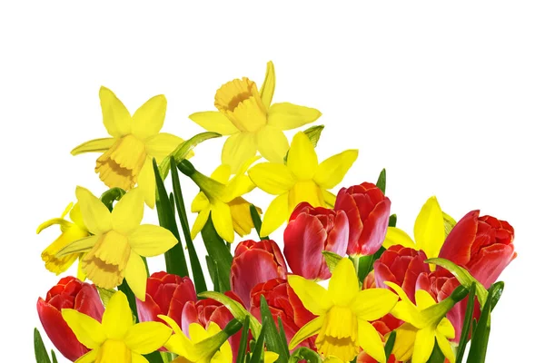 Ljusa färgglada vår blommor av påsk liljor och tulpaner isolerade — Stockfoto