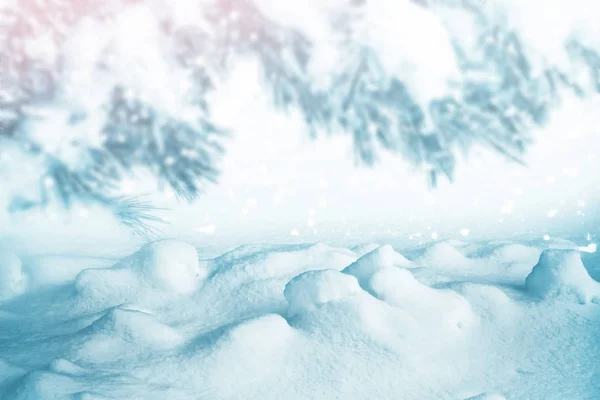 Fundo de Natal desfocado. Árvores na neve. Floresta de Inverno — Fotografia de Stock