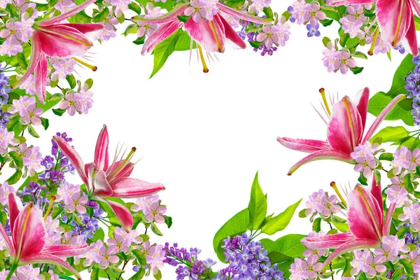 Fundal floral natural. Flori strălucitoare și colorate . — Fotografie, imagine de stoc
