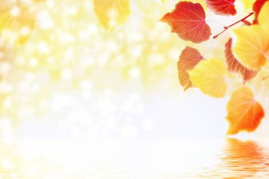 parlak renkli yeşillik. Pastırma yazı.