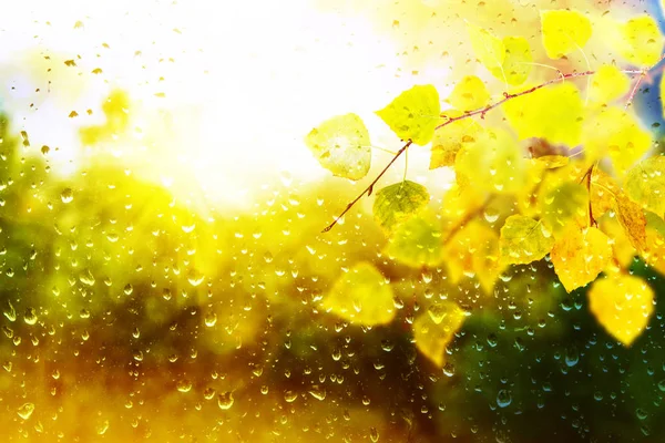 Blurred natural autumn background. Raindrops on the glass. — Stock Photo, Image