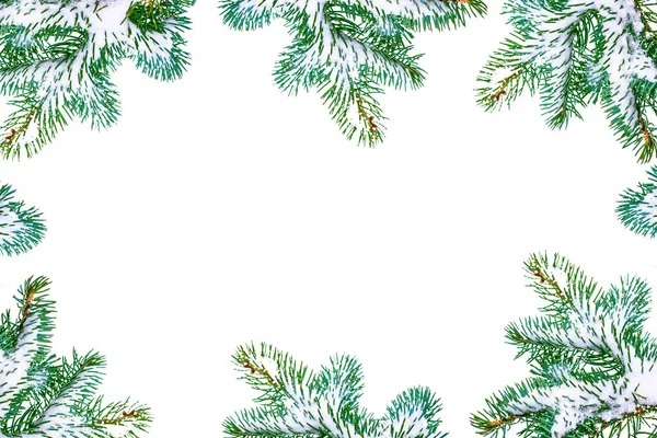 Las ramas del árbol nevado Árbol de Navidad — Foto de Stock
