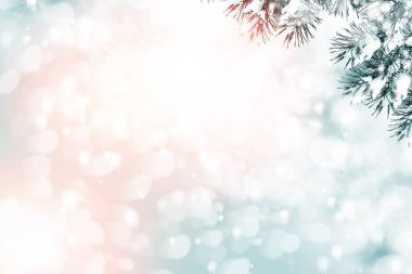  Donmuş orman. Kış manzarası. Karla kaplı ağaçlar. 