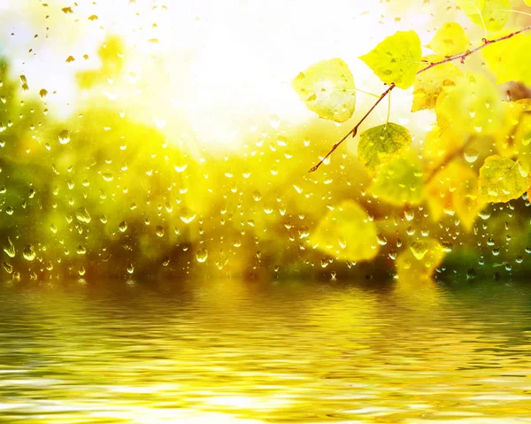 Verschwommener natürlicher Herbsthintergrund. Regentropfen auf dem Glas. — Stockfoto