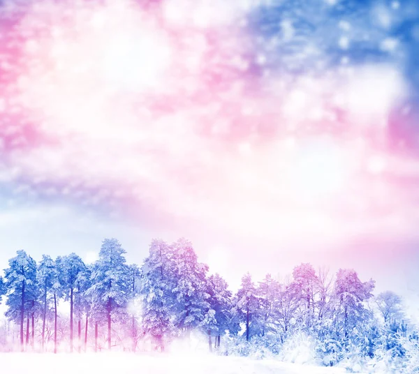 Blurred background. winter forest with snow covered trees. — Stock Photo, Image