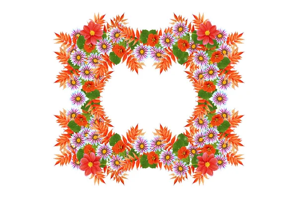 Φυσικό φλοράλ φθινοπωρινό φόντο. Φωτεινά πολύχρωμα λουλούδια. — Φωτογραφία Αρχείου