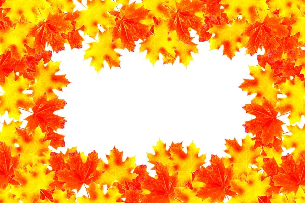 Parlak renkli sonbahar yaprakları — Stok fotoğraf