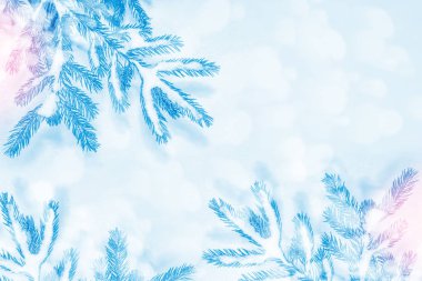  Karla kaplı ağaçlarla donuk kış ormanı.