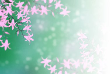 Parlak bahar çiçekleri çan ile çiçek arka plan