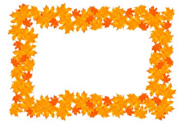 parlak renkli sonbahar yaprakları