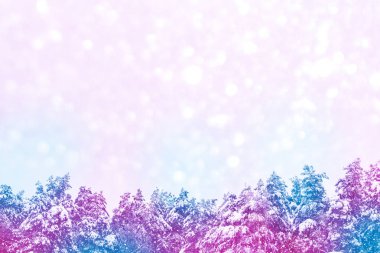  Karla kaplı ağaçlarla donuk kış ormanı.