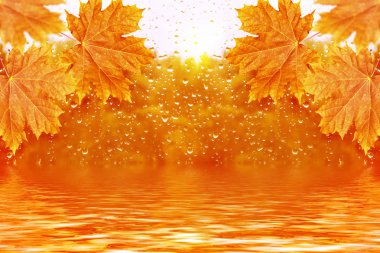 sonbahar manzara parlak renkli yeşillik ile. Pastırma yazı.