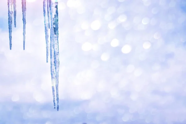 White icicles against the blue winter sky.