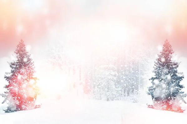 Bosque de invierno congelado con árboles cubiertos de nieve. — Foto de Stock