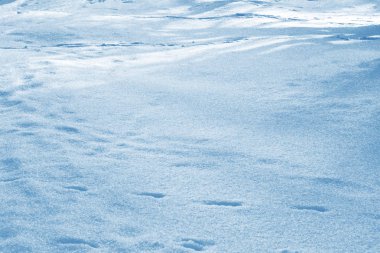 Geçmişi. Kış manzarası. Karların dokusu.