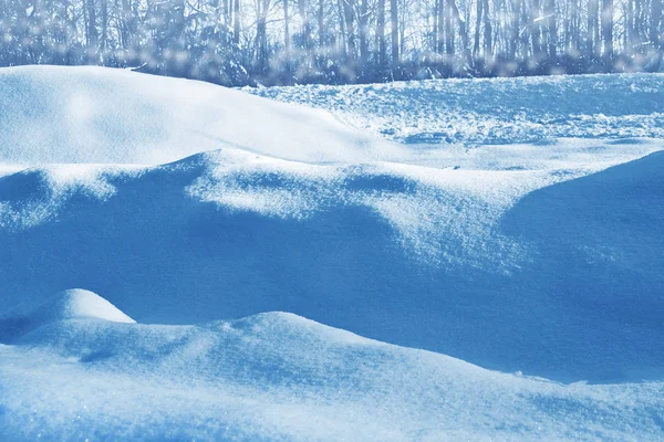 Frozen winter forest with snow covered trees. — Stock Photo, Image