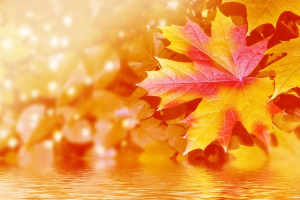 Herfst landschap met heldere kleurrijke gebladerte. Indian summer. — Stockfoto