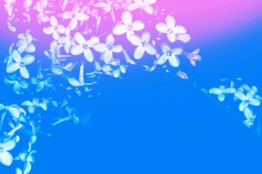 Parlak ve renkli lila çiçek