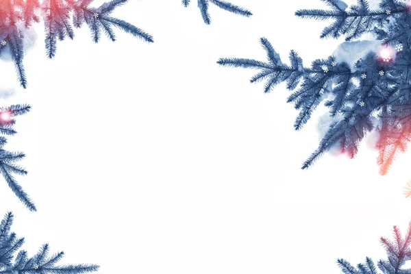 Ramos Neve Cobriram Árvore Natal Fundo Branco Inverno — Fotografia de Stock