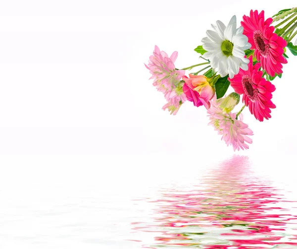 Colorati Fiori Vibranti Crisantemo Gerbera Rose Isolate Fondo Bianco Bouquet — Foto Stock