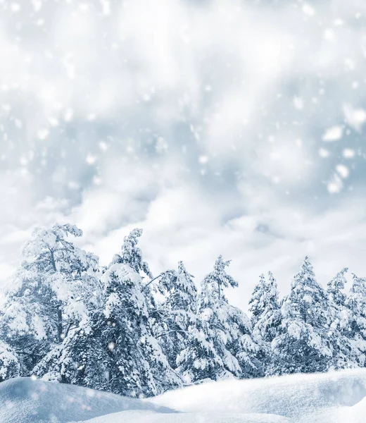 要約グリーティングカード 自然のクリスマスの背景の空 雪の結晶 雪のドリフト 雪降る冬の風景 — ストック写真