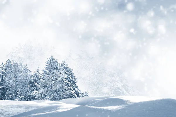 Tarjeta Felicitación Abstracta Cielo Fondo Natural Navidad Nevadas Copos Nieve — Foto de Stock