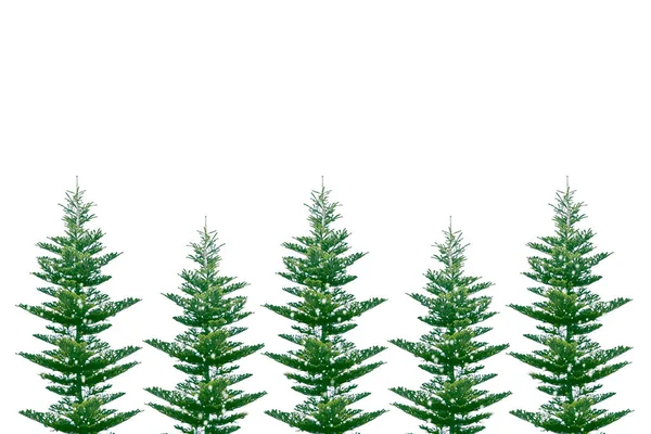 Weihnachtsbaum Schnee Isoliert Auf Weißem Hintergrund Grußkarte Winter — Stockfoto