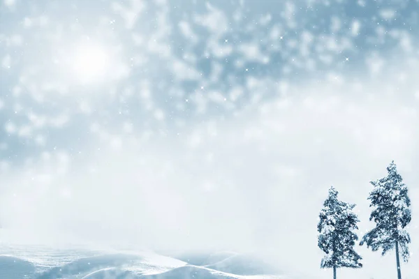 Foresta Invernale Ghiacciata Con Alberi Innevati All Aperto — Foto Stock