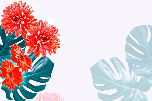 Färgglada Höstblommor Naturlig Blommig Bakgrund Monstera Gerbera Kamomill — Stockfoto