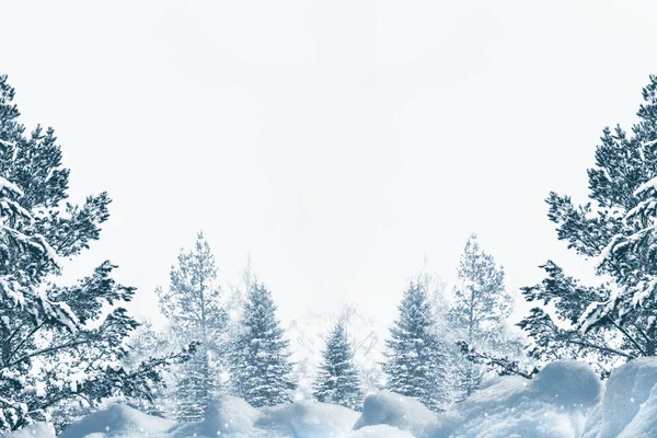 Mrożony Las Zimowy Pokrytymi Śniegiem Drzewami Zewnątrz Spadające Płatki Śniegu — Zdjęcie stockowe