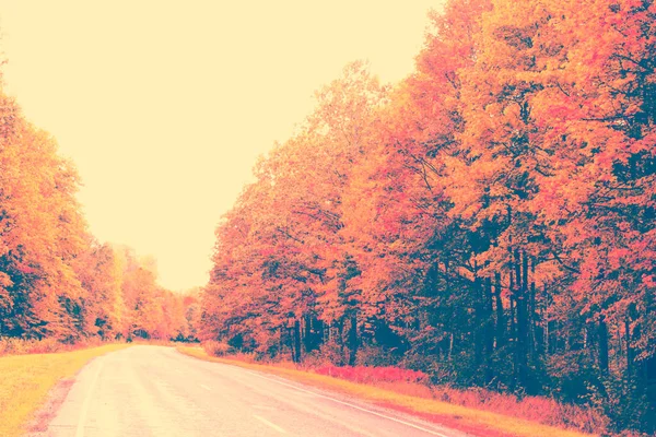 Vervagend Herfstlandschap Bomen Met Felgekleurde Bladeren — Stockfoto