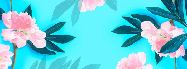 Барвиста Яскрава Півонія Натуральний Квітковий Фон Квітковий Стебло Листя — стокове фото