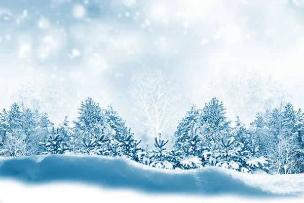 Абстрактная Открытка Естественное Рождественское Небо Снег Снежинки Сугробы Зимний Пейзаж — стоковое фото